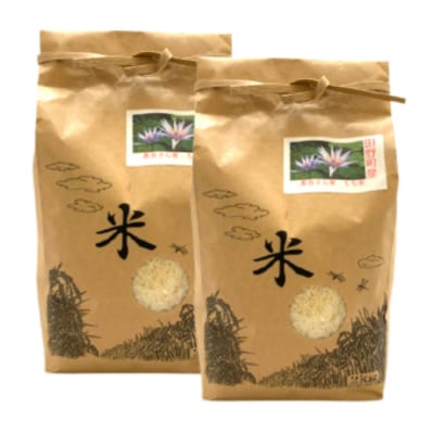 ≪数量限定≫ 【四国一小さなまちのもち米】 令和7年産 『 もち米 』 4kg( 2kg × 2袋 