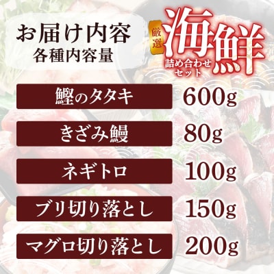 厳選 海鮮5種詰め合わせセット