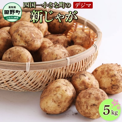 ★先行受付:2026年5月発送開始★大野台地で採れた令和8年産新じゃがいも『デジマ』5kg
