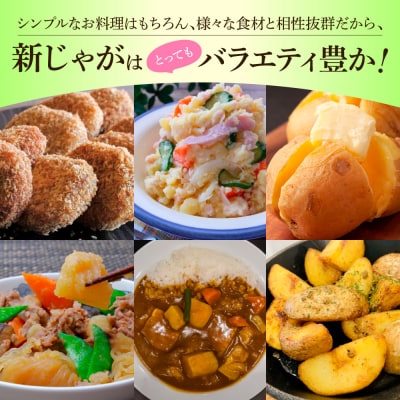 ★先行受付:2026年5月発送開始★大野台地で採れた令和8年産新じゃがいも『デジマ』5kg