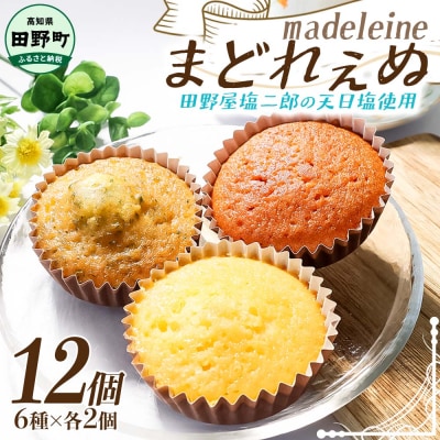 まどれぇぬ マドレーヌ 12個入り(6種×各2個) 田野屋塩二郎の天日塩使用