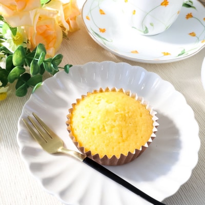 まどれぇぬ マドレーヌ 12個入り(6種×各2個) 田野屋塩二郎の天日塩使用