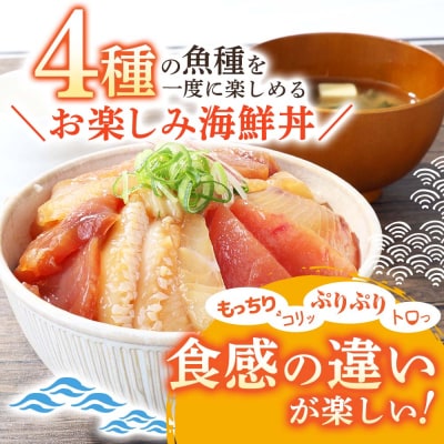 【四国一小さなまち】これが魚屋の漬け丼だ!～海鮮ミックス～80g×15パック