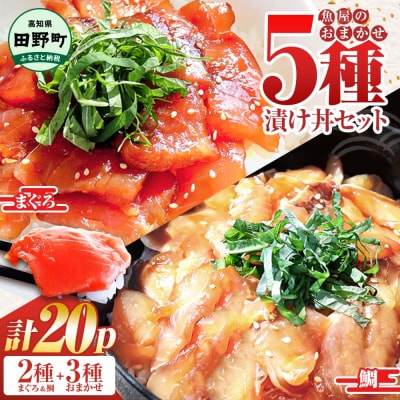 これが魚屋の漬け丼だ!魚屋の訳あり5種海鮮丼セット《鮪+鯛+おまかせ3種》5種×4P　合計20P