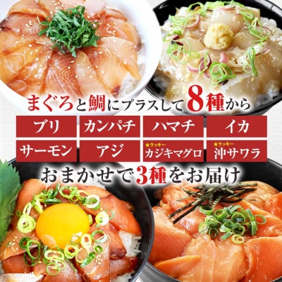 これが魚屋の漬け丼だ!魚屋の訳あり5種海鮮丼セット《鮪+鯛+おまかせ3種》5種×4P　合計20P