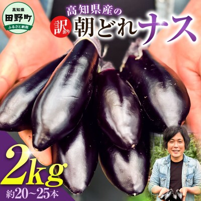 訳あり高知県産の朝どれナス　2kg