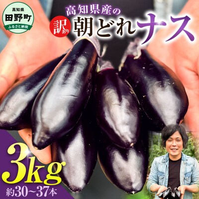 訳あり高知県産の朝どれナス　3kg