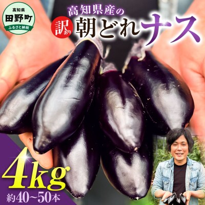 訳あり高知県産の朝どれナス　4kg