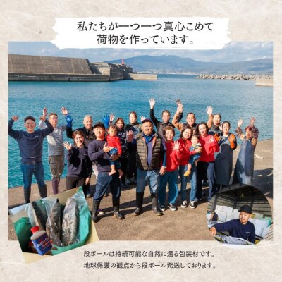 【四国一小さなまち】≪カネアリ水産≫★訳あり★ 高知県産カツオのわら焼きタタキ(タレ付)　2.6kg