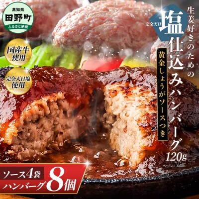 塩仕込みハンバーグ 8個入り 黄金しょうがソース付 4袋