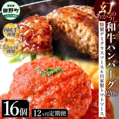 幻のあかうし和牛ハンバーグ 16個入り 12ヶ月定期便【特製デミソース トマトソース付き】