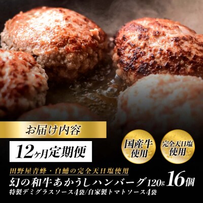 幻のあかうし和牛ハンバーグ 16個入り 12ヶ月定期便【特製デミソース トマトソース付き】