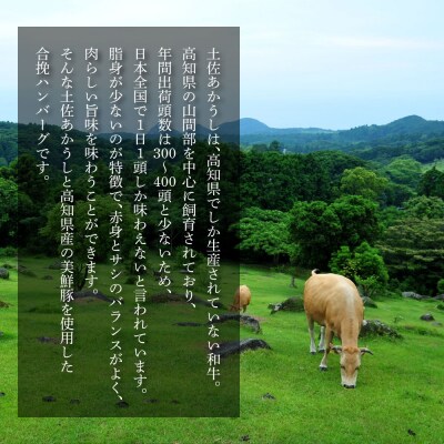 幻のあかうし和牛ハンバーグ 2個入り
