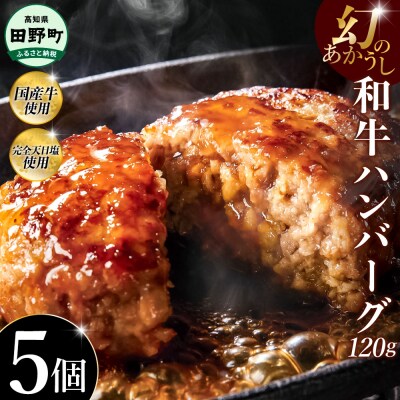 幻のあかうし和牛ハンバーグ 5個入り