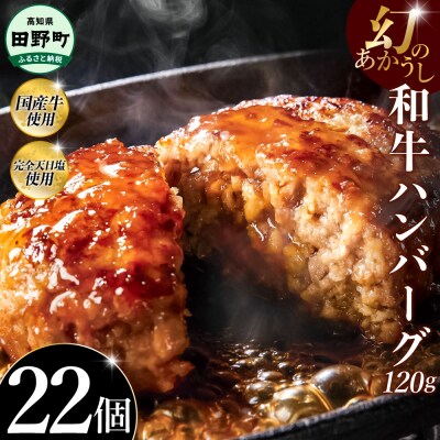 幻のあかうし和牛ハンバーグ 22個入り