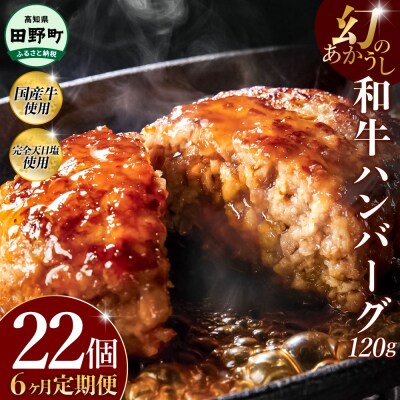 幻のあかうし和牛ハンバーグ 22個入り 6ヶ月定期便 