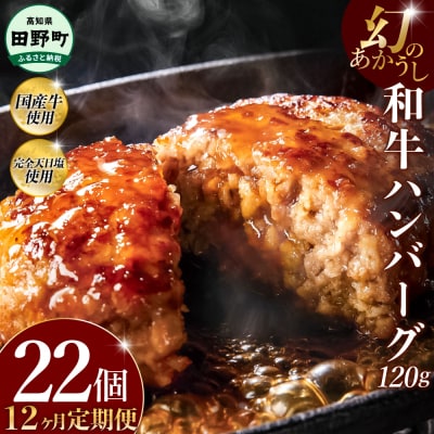 幻のあかうし和牛ハンバーグ 22個入り 12ヶ月定期便 