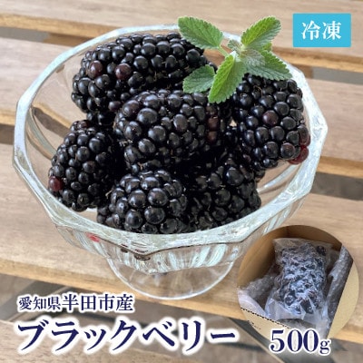 愛知県・半田市産　栽培期間中農薬不使用・冷凍ブラックベリー　500g