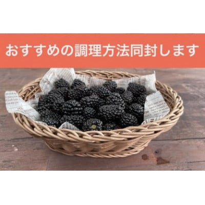 愛知県・半田市産　栽培期間中農薬不使用・冷凍ブラックベリー　500g