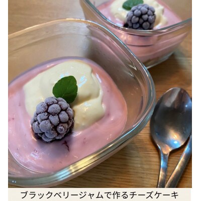 愛知県・半田市産　栽培期間中農薬不使用・冷凍ブラックベリー　500g
