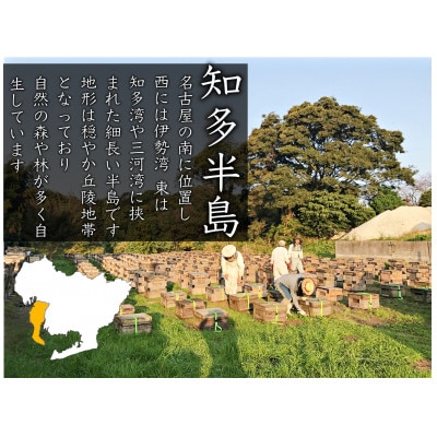 竹内養蜂の蜂蜜2種 (みかん・くろがねもち) 各500g