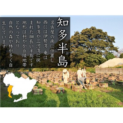 竹内養蜂の蜂蜜1種(みかん3本) 各1000g
