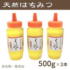 竹内養蜂の蜂蜜1種(くろがねもち3本) 各500g