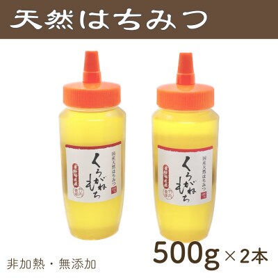 竹内養蜂の蜂蜜1種(くろがねもち2本) 各500g