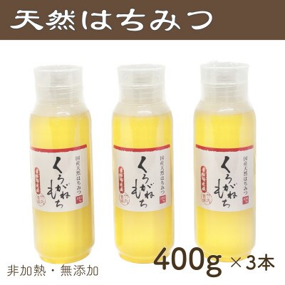 竹内養蜂の蜂蜜1種(くろがねもち3本) 各400g プラスチック便利容器