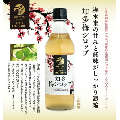 國盛ファーム 梅シロップ 3本セット