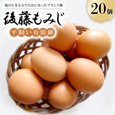後藤もみじ平飼い有精卵(食用)20個