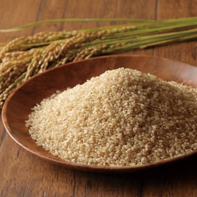 令和7年産　稲穂のしずく　玄米　10kg