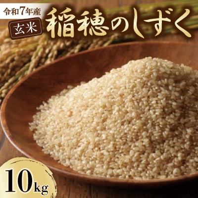 令和7年産　稲穂のしずく　玄米　10kg