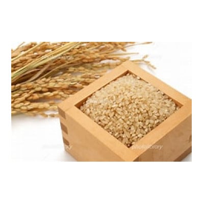 令和7年産　稲穂のしずく　玄米　30kg