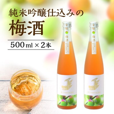 【金鯱】純米吟醸仕込みの梅酒(500ml×2本)