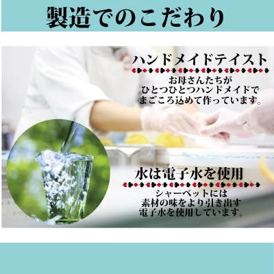 りんごシャーベット8個