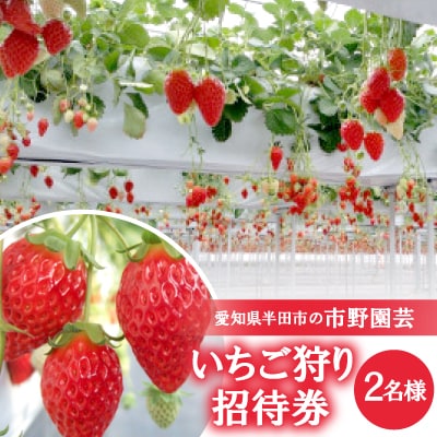 【愛知県半田市の市野園芸】いちご狩り招待券2名様