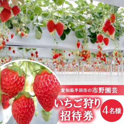 【愛知県半田市の市野園芸】いちご狩り招待券4名様
