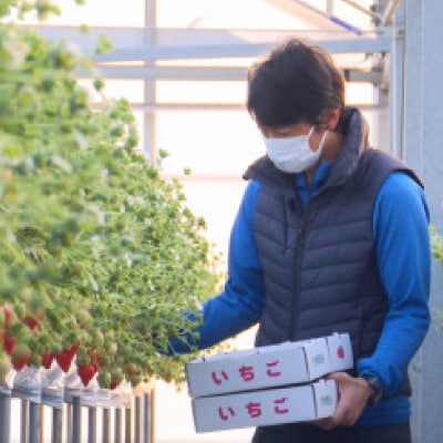【愛知県半田市の市野園芸】いちご狩り招待券4名様