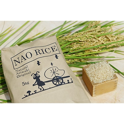 2024年2月発送開始『定期便』【農薬節減米】NAORICEにこまる 白米 10kg全12回