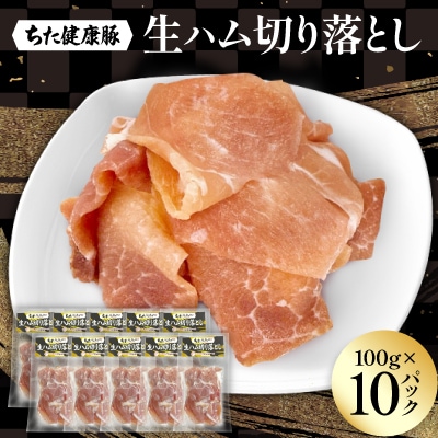 ちた健康豚　生ハム切り落とし　100g×10パック