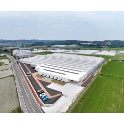 HANDAミラトマト3kg【ミニトマト】