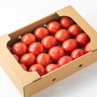 愛知県半田市産ファーストトマト　一箱3キロ以上