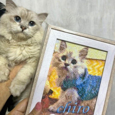 フォト刺繍【フレーム:2L判サイズ】