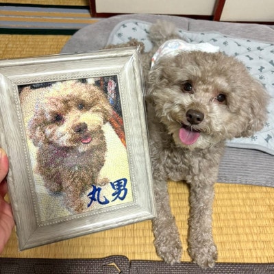 フォト刺繍【フレーム:2L判サイズ】