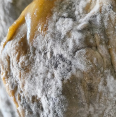 生ハム　ハモンテンパク　9ヵ月以上　50g×3パック　あいぽーく豚