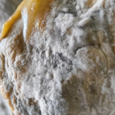 生ハム モモ(ハモン)後脚　6.5kg以上　【原木】ハモンテンパク　長期熟成　9ヵ月以上