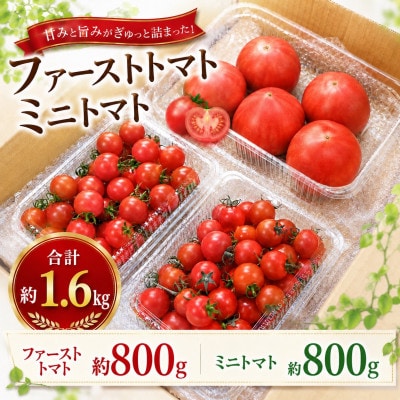 ファーストトマトとミニトマト計1.6kgセット