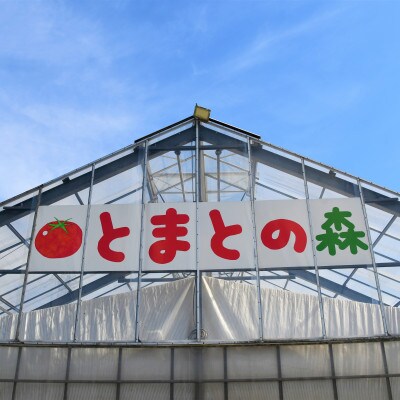 ミニトマト約1kg