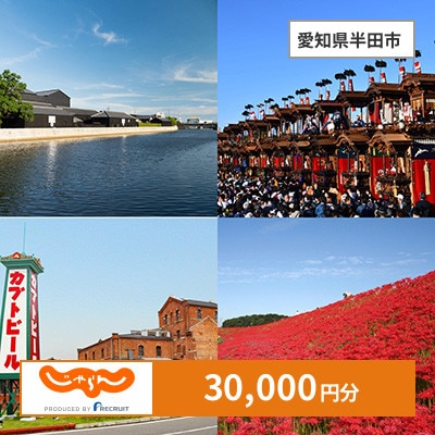 【じゃらんふるさと納税クーポン】 愛知県半田市でつかえる30,000円 クーポン